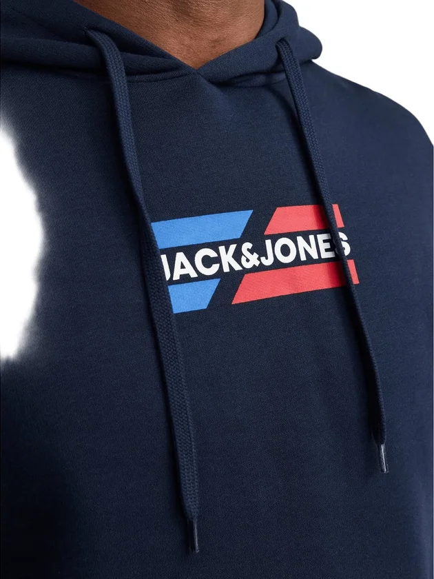 Jjcorp Graphic Sweat Hood Ln
