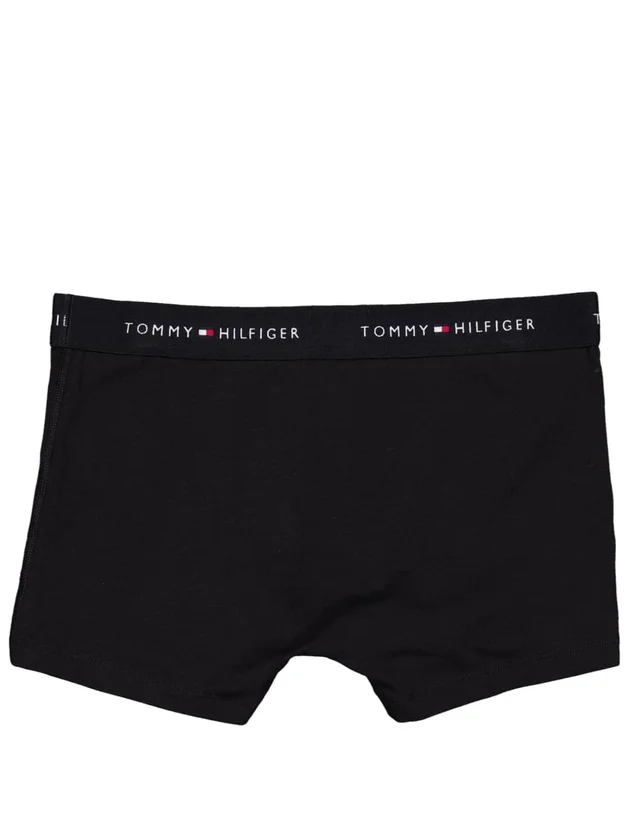 3P WB Trunk