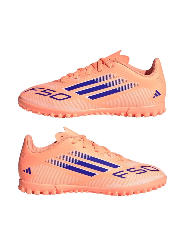 F50 Club TF
