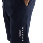 NAVY BLAZER