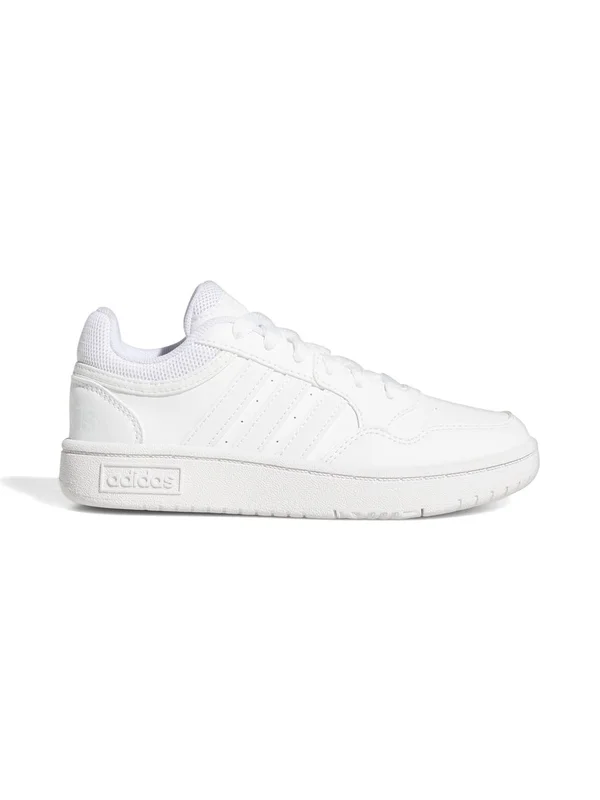 Hoops 3.0