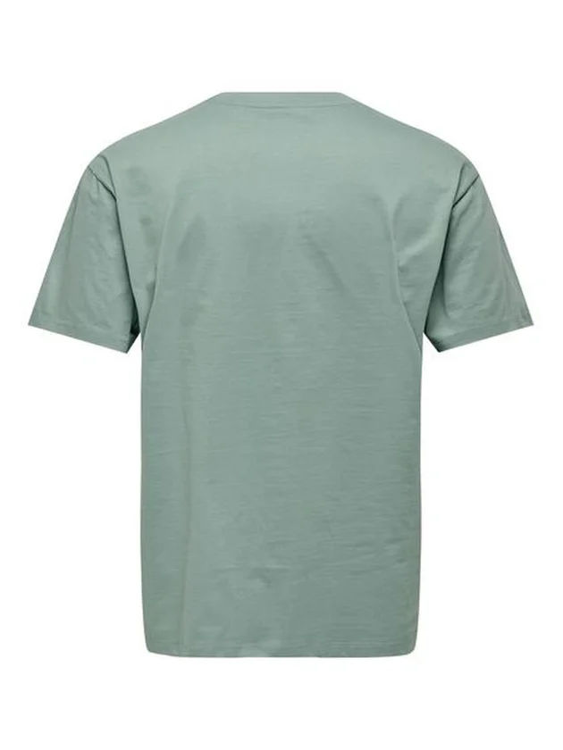 Onsfred Life Rlx Ss Tee Noos