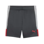 GRAY ECHO-DUSKY GRAY-PUMA RED