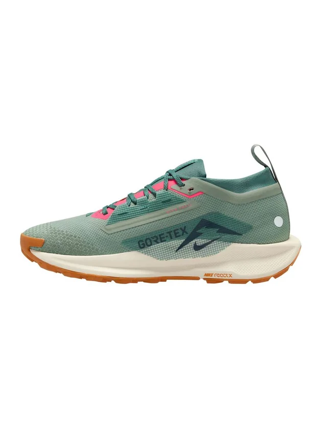 Pegasus Trail 5 GTX