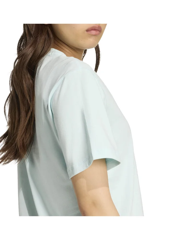 Sl Sj T