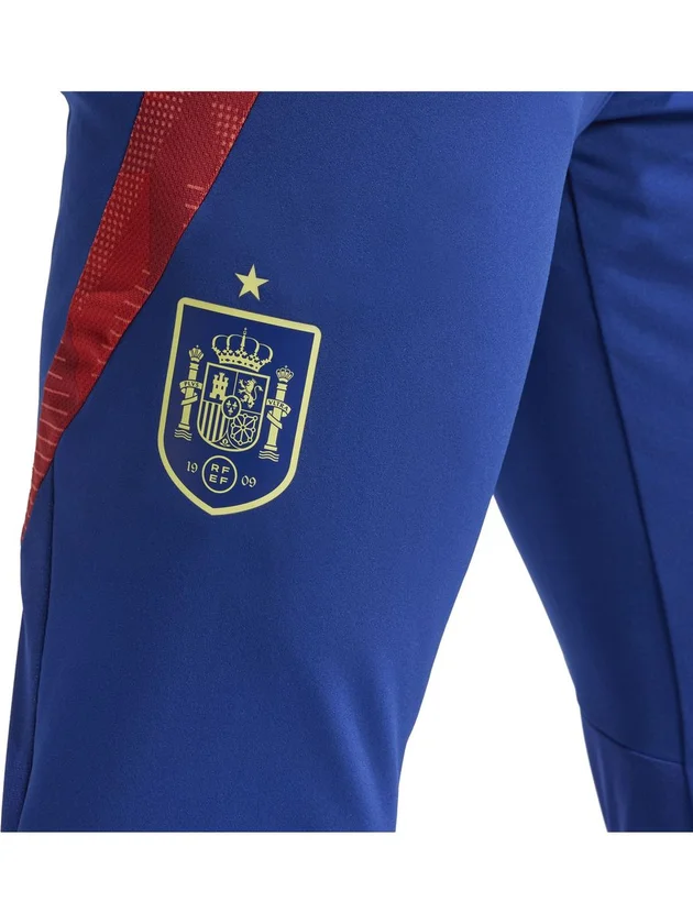 FEF TR PNT