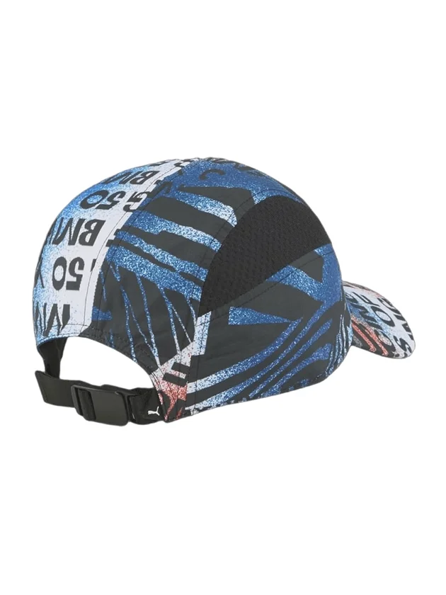 MMS Stmtnt Cap