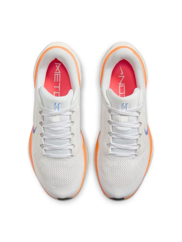 Air Zoom Pegasus 41 FP