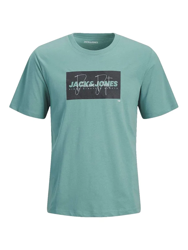 Jjcole Print Tee Ss Crew Neck Ln