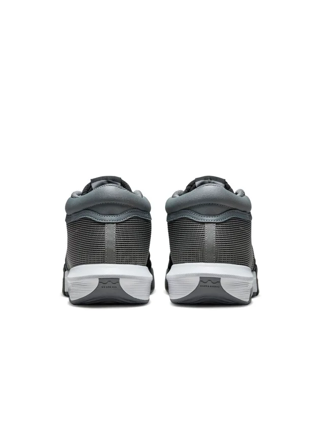 Lebron Witness VIII