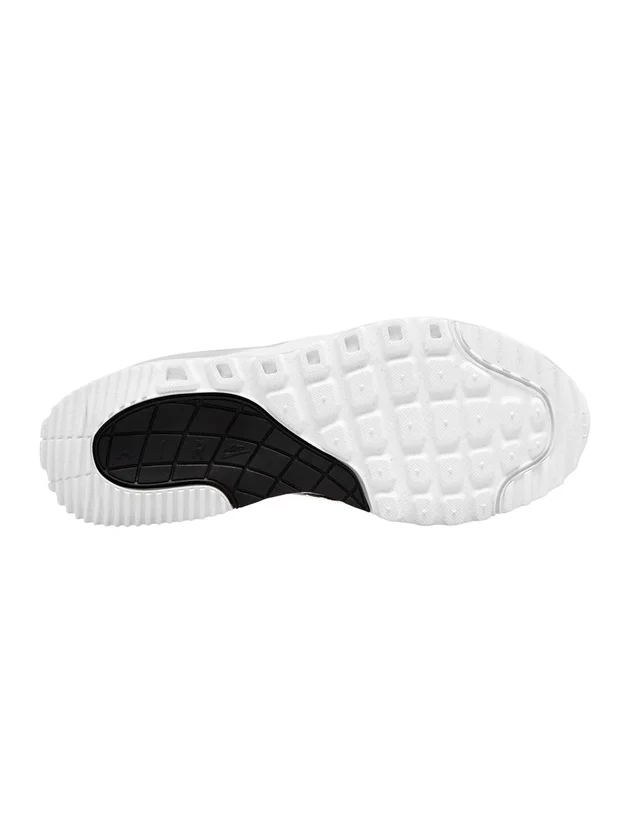 Air Max Systm