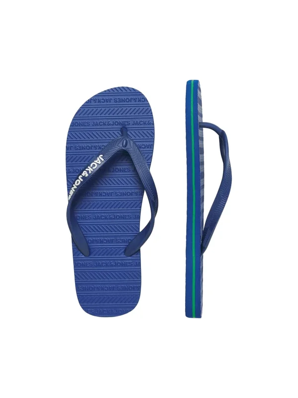 Basic Flip Flop LN