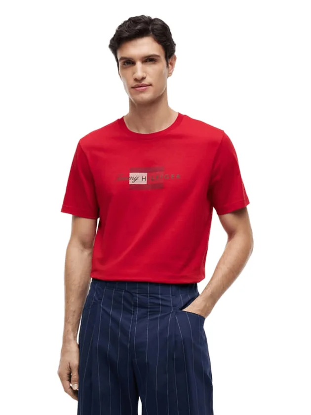Script Flag Regular