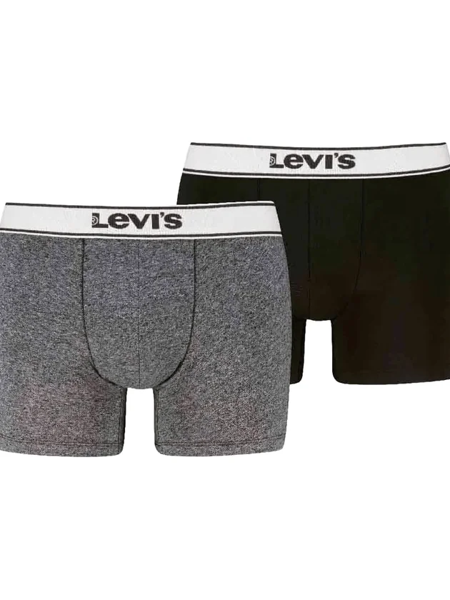 Vntg Htr Boxer Brief 2P