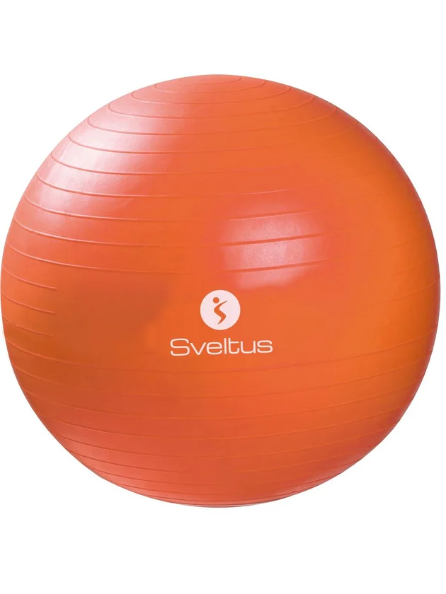 Gymball 55 Cm Bte