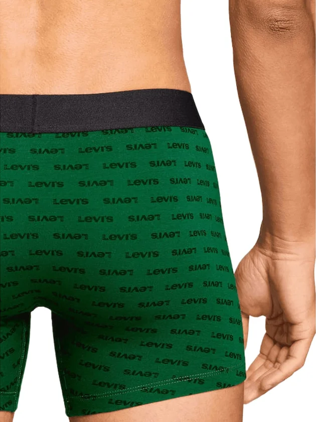 Logo Aop Boxer Brief 2P