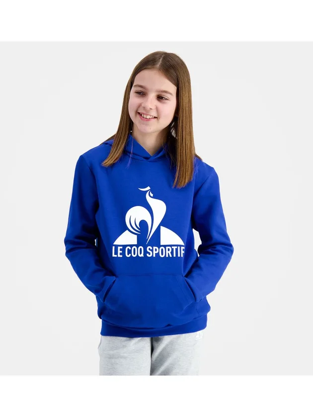 Ess Hoody N3