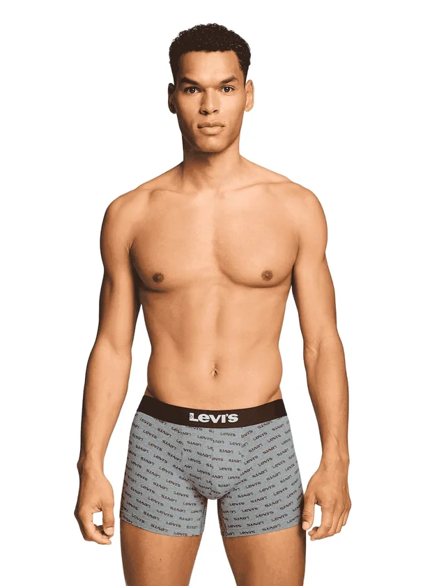 Logo Aop Boxer Brief 2P