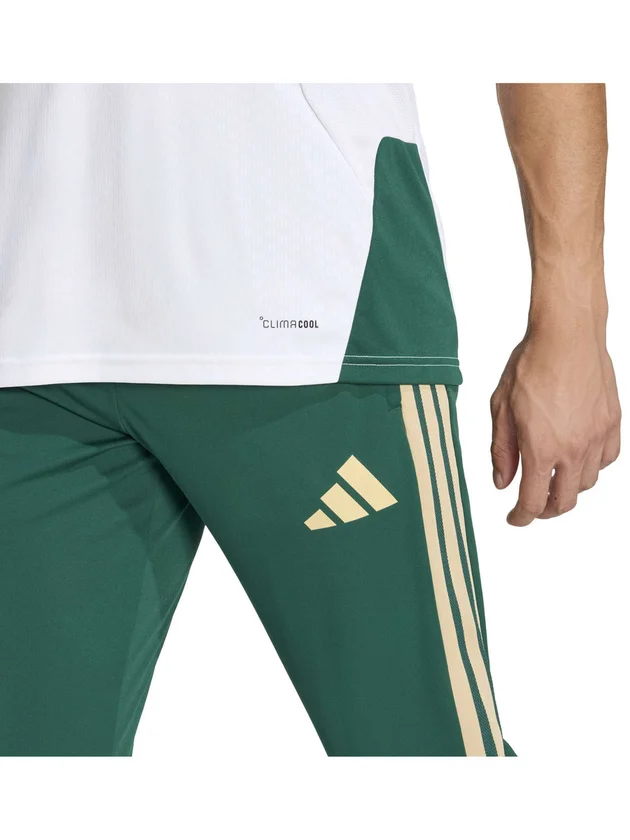 Figc Tr Pnt