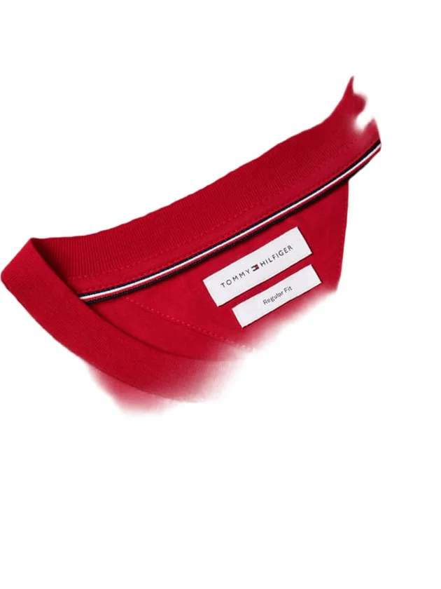Script Flag Regular