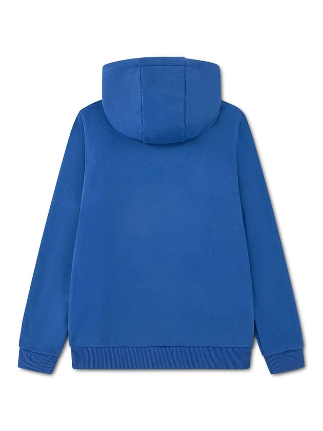 Core Fleece Pullover Hoodi