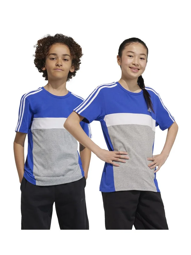 J 3S Tib T