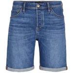 BLUE DENIM / AM 361