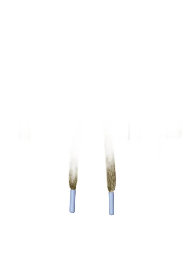 Technical Capsule
