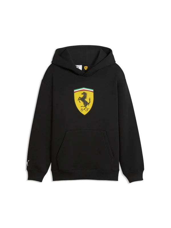 Colored Shield Hoodie