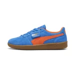 HYPERLINK BLUE-FLA