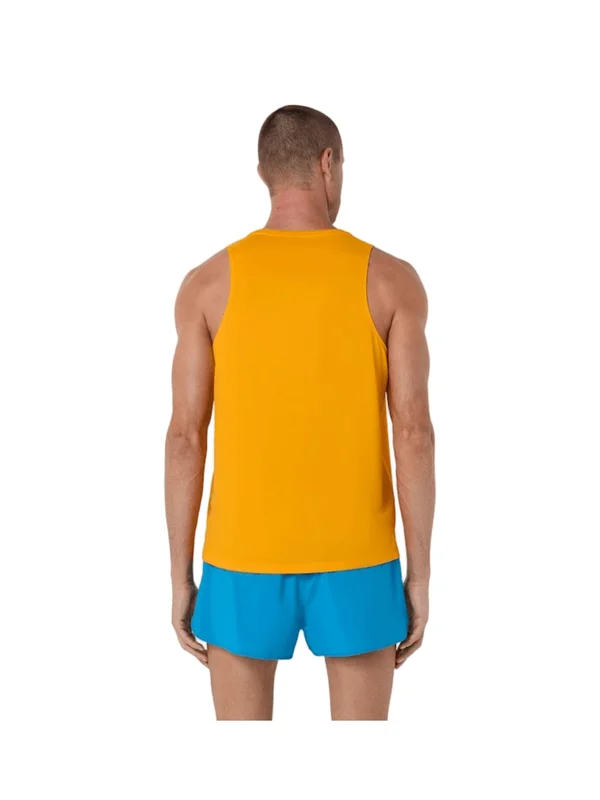 Core Singlet