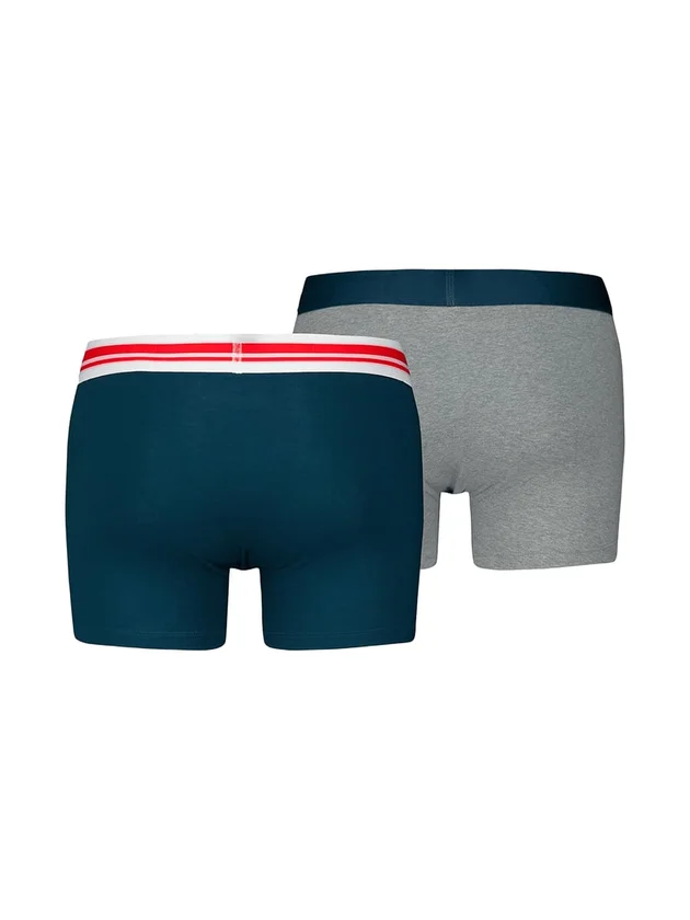 Everyday Placed Logo Boxers 2P