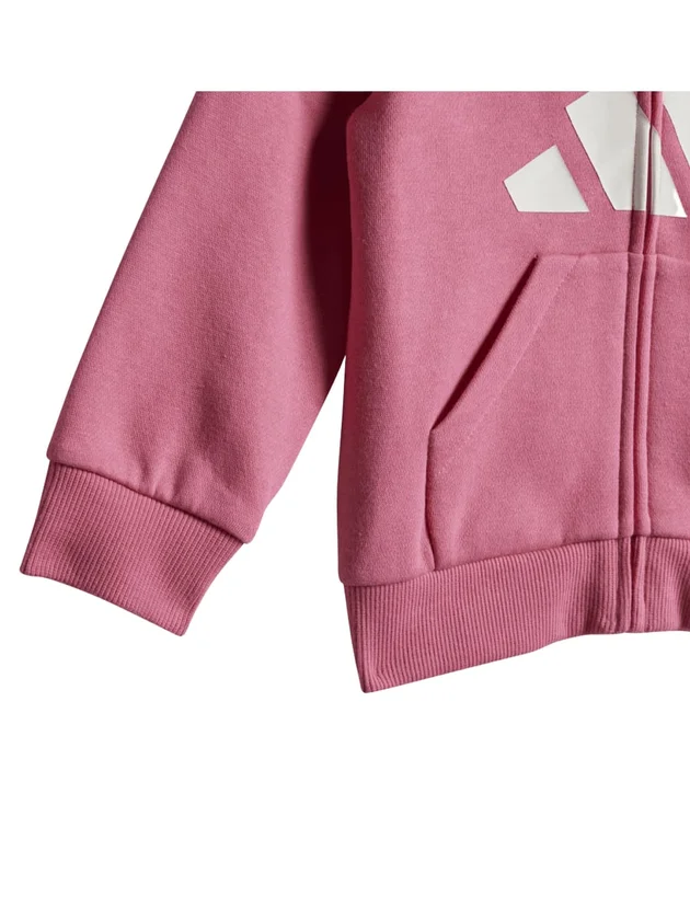I Bl Fl Fz Ts