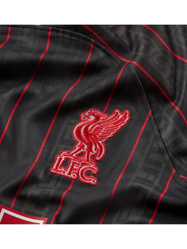 Liverpool Dri-FIT Stadium Special Edition