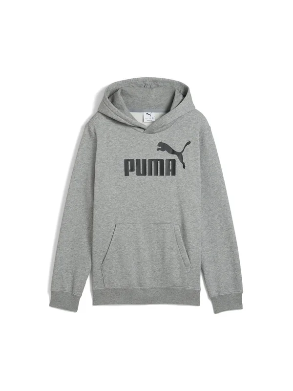 Ess No 1 Logo Hoodie Fl B