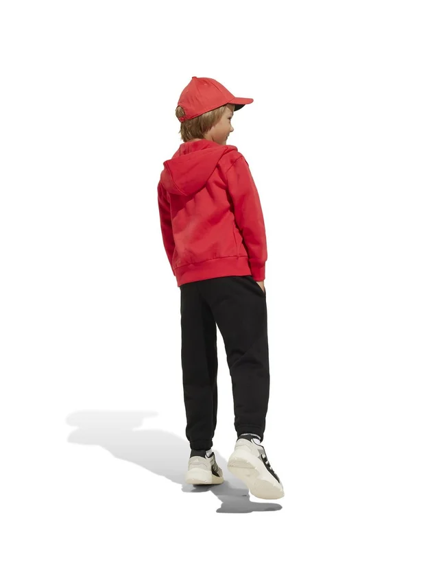 Lk Bl Fl Fz Ts