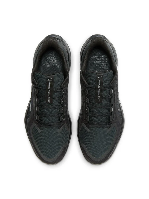 Air Zm Pegasus 41 GTX
