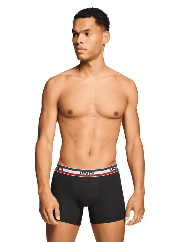 Repeat Spw Logo Boxer Brief 2P