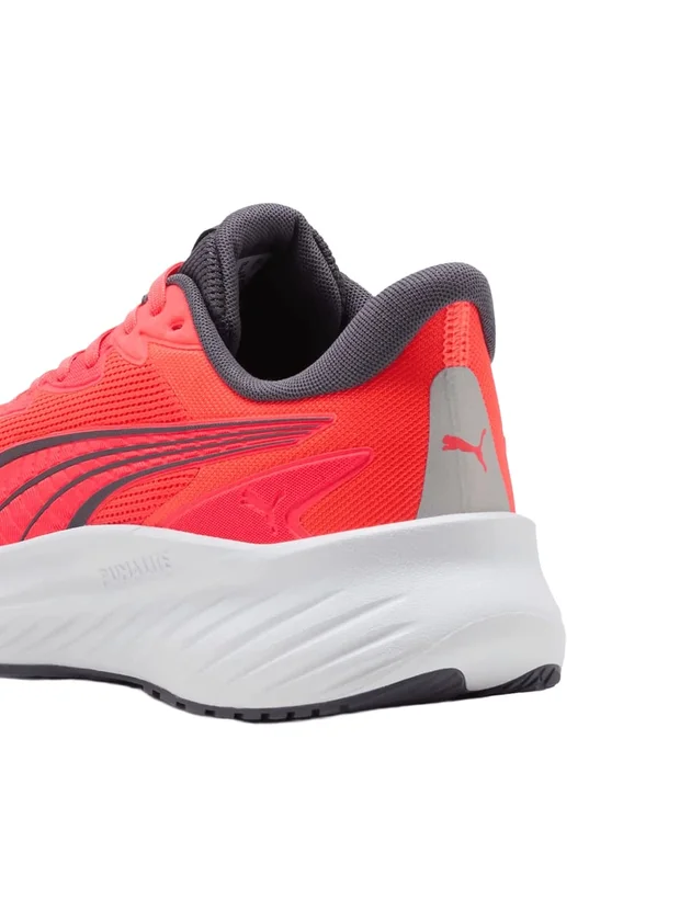 Pounce Lite 2