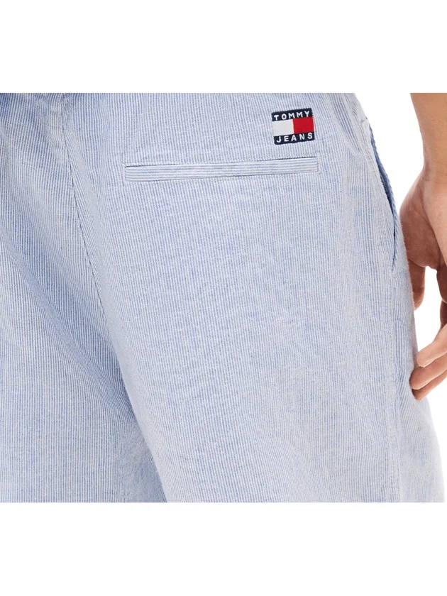 Linen Blend Stripe Short