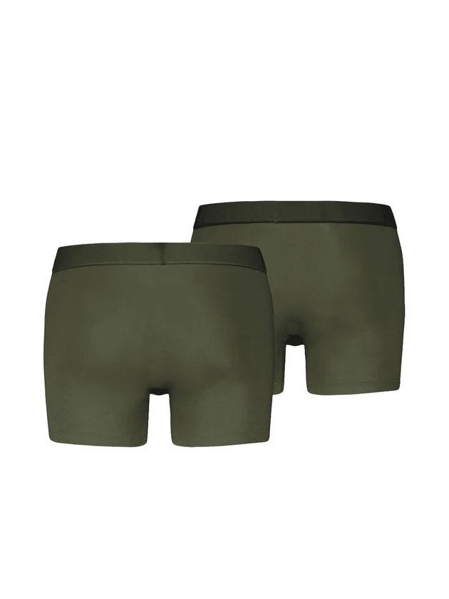 Twill Wb Boxer Brief 2P