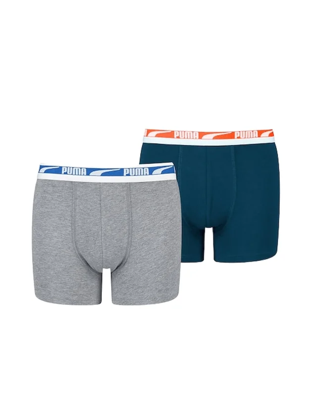 Multi Logo Boxer 2P