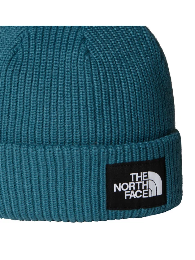 Salty Lined Beanie