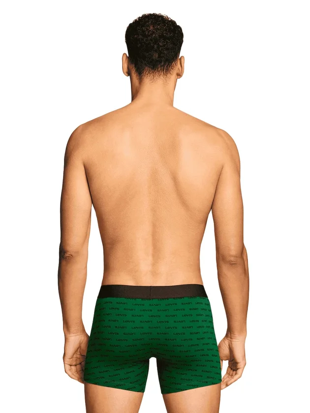 Logo Aop Boxer Brief 2P