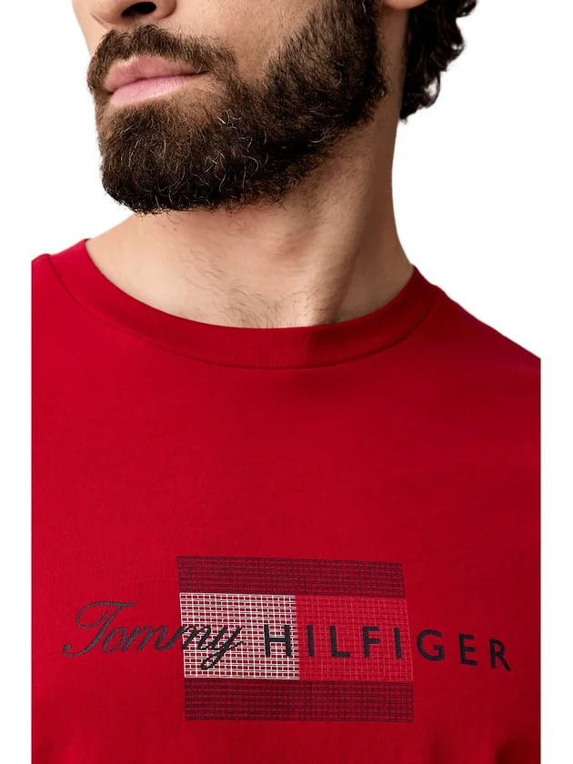 Script Flag Regular