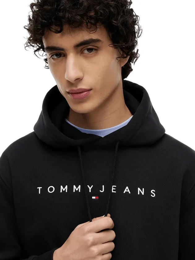 Reg Linear Logo Hoodie Ext