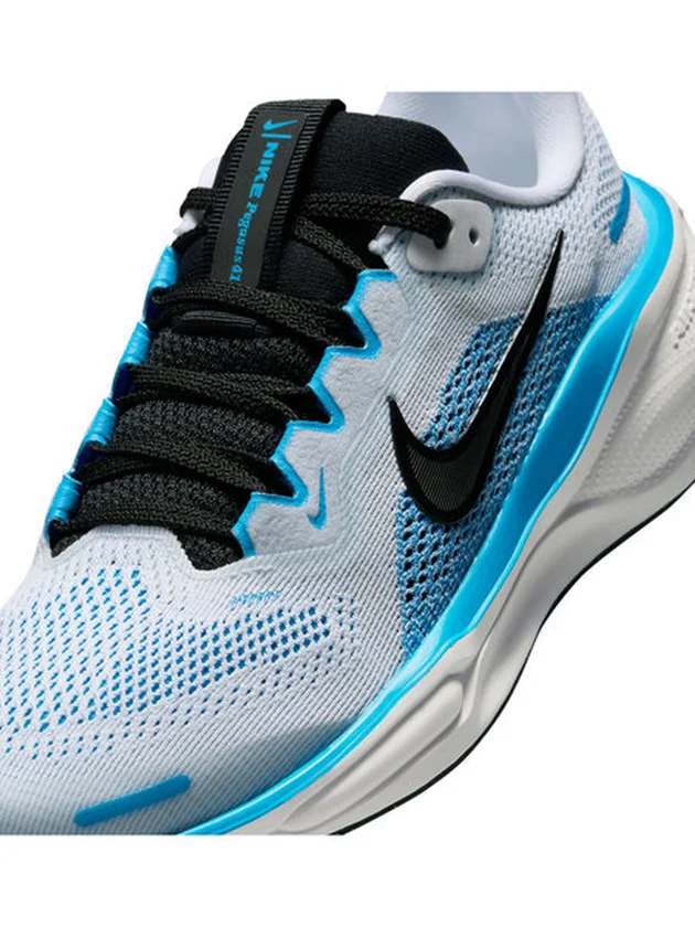 Air Zoom Pegasus 41