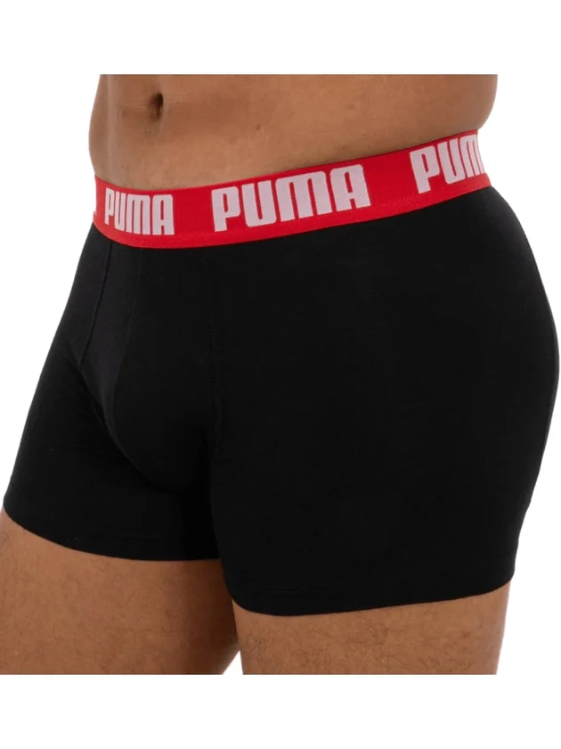 Basic Boxer 2P