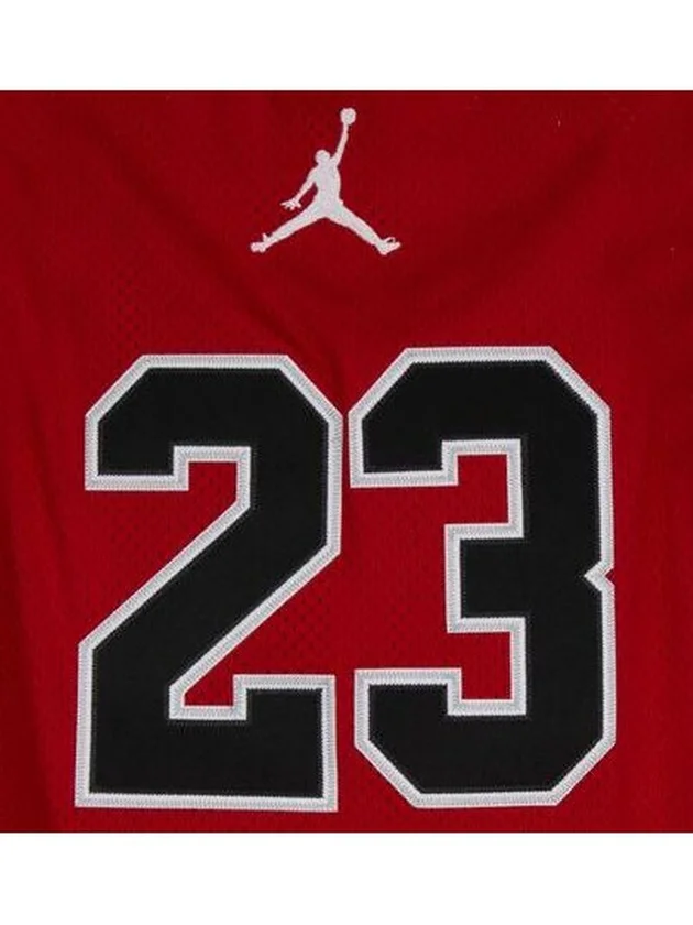 23 Jersey
