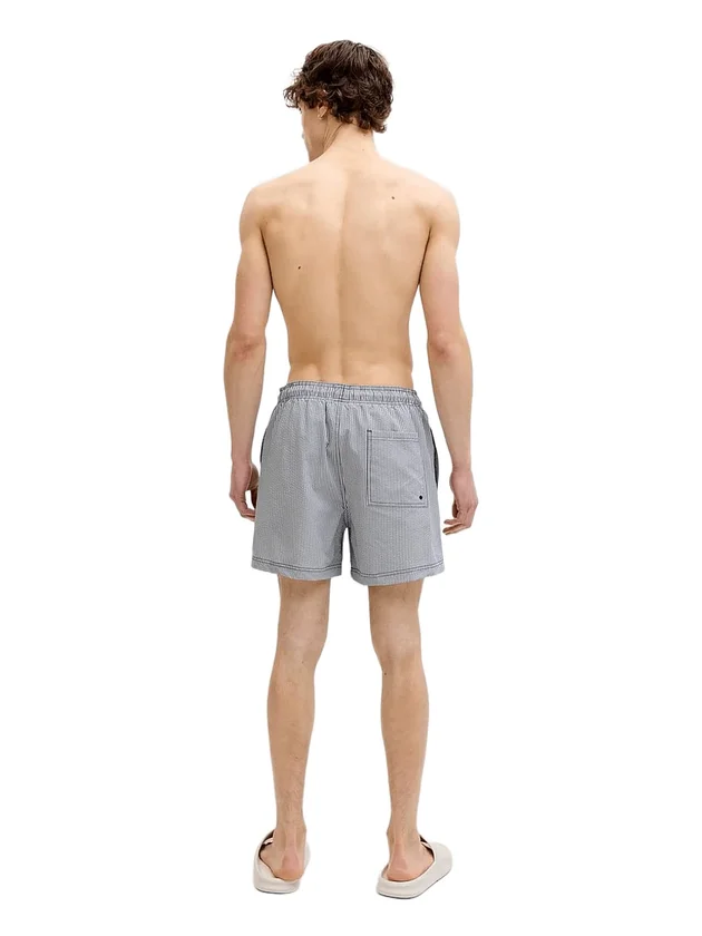 Ocean Seersucker Swim Shorts Ln